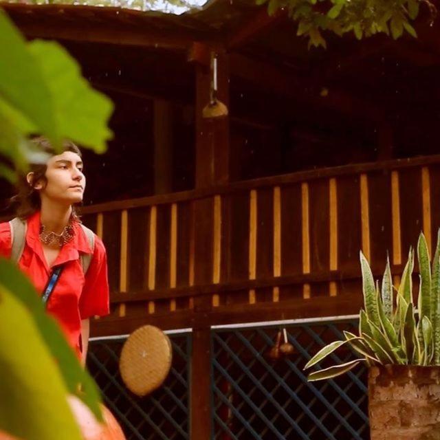 Hôtel Hospedagem Aldeia Do Leao à Carolina  Extérieur photo
